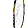 Ракетка бадм. TORRES Carbon PRO6, BD20521,для продв., стерж/обод из карбона,со струнами, фиол за 4&nbsp;477.80 ₽ купить в Владивостоке