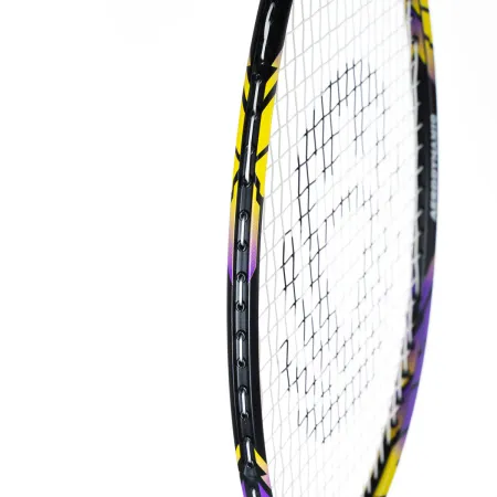 Ракетка бадм. TORRES Carbon PRO6, BD20521,для продв., стерж/обод из карбона,со струнами, фиол за 4&nbsp;477.80 ₽ купить в Владивостоке