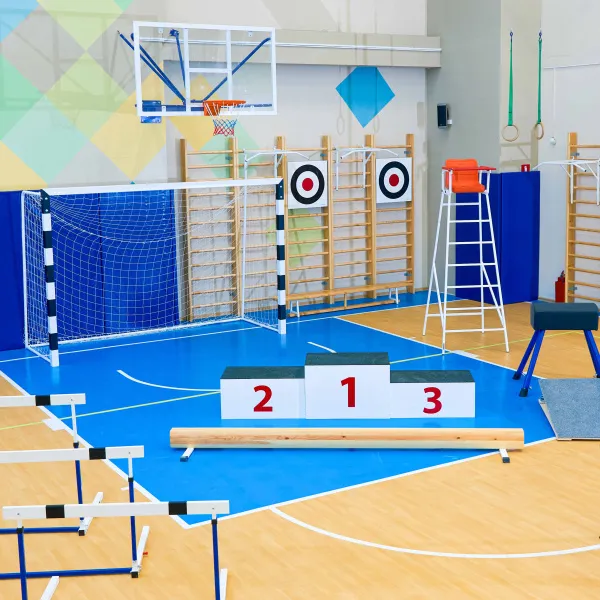 Щит для метания навесной на шведскую стенку (фанера) 700х700 ZAVODSPORTA за 8&nbsp;960 ₽ в Владивостоке