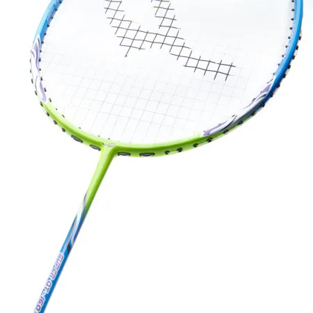 Ракетка для бадм. DOUBLE FISH JINQUE QT-1601, для продвинутых,карбон со струнами,литая,голубой за 3&nbsp;015.80 ₽ купить в Владивостоке